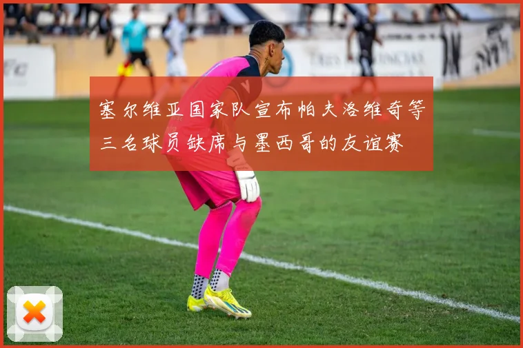 塞尔维亚国家队宣布帕夫洛维奇等三名球员缺席与墨西哥的友谊赛