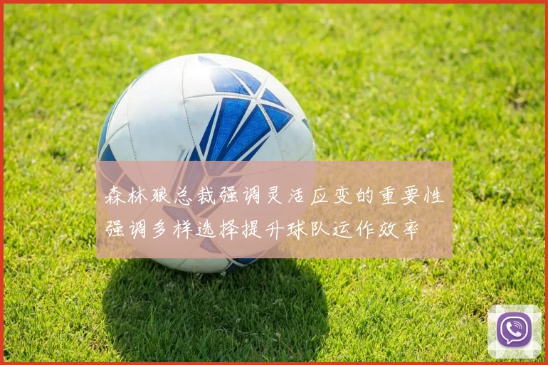 森林狼总裁强调灵活应变的重要性强调多样选择提升球队运作效率